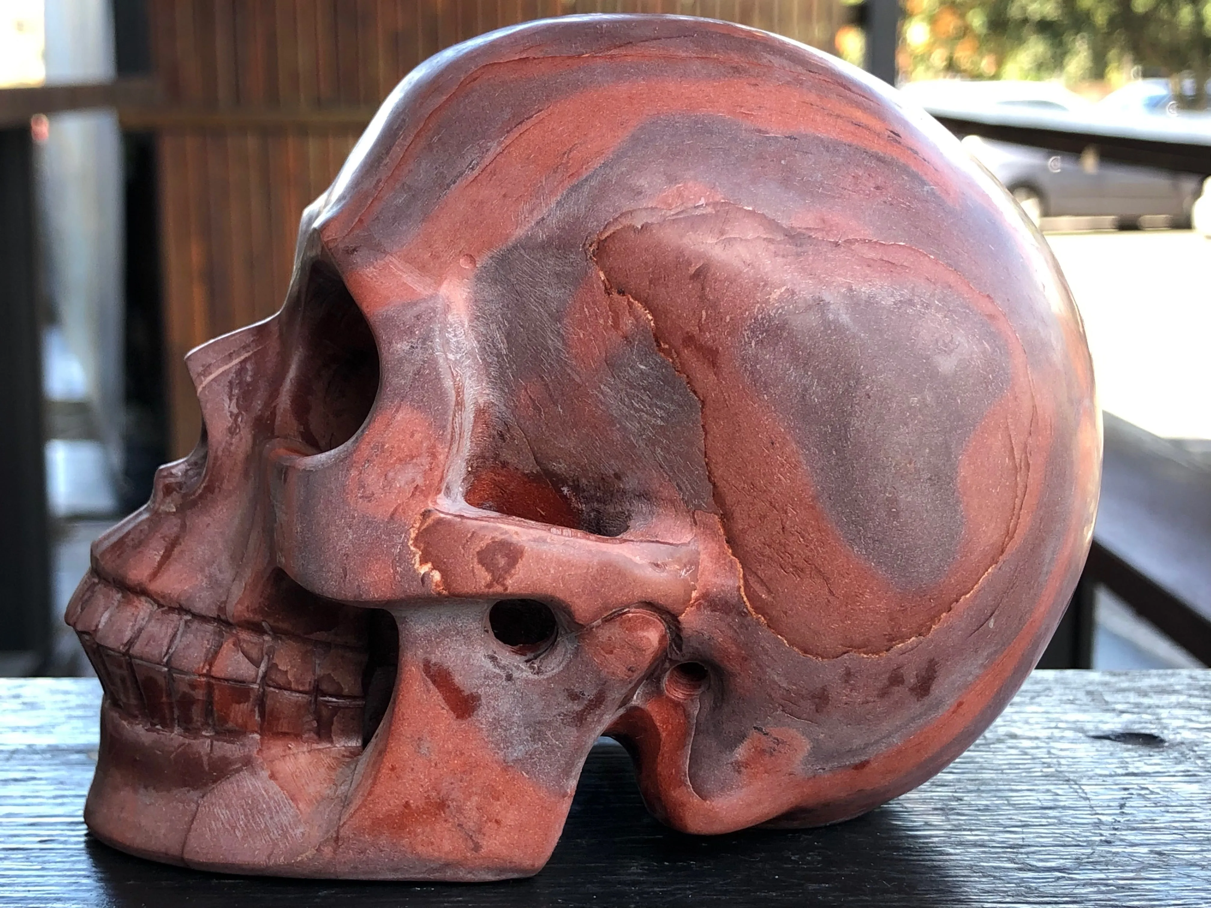 Australian Print Stone Skull [1k1064]