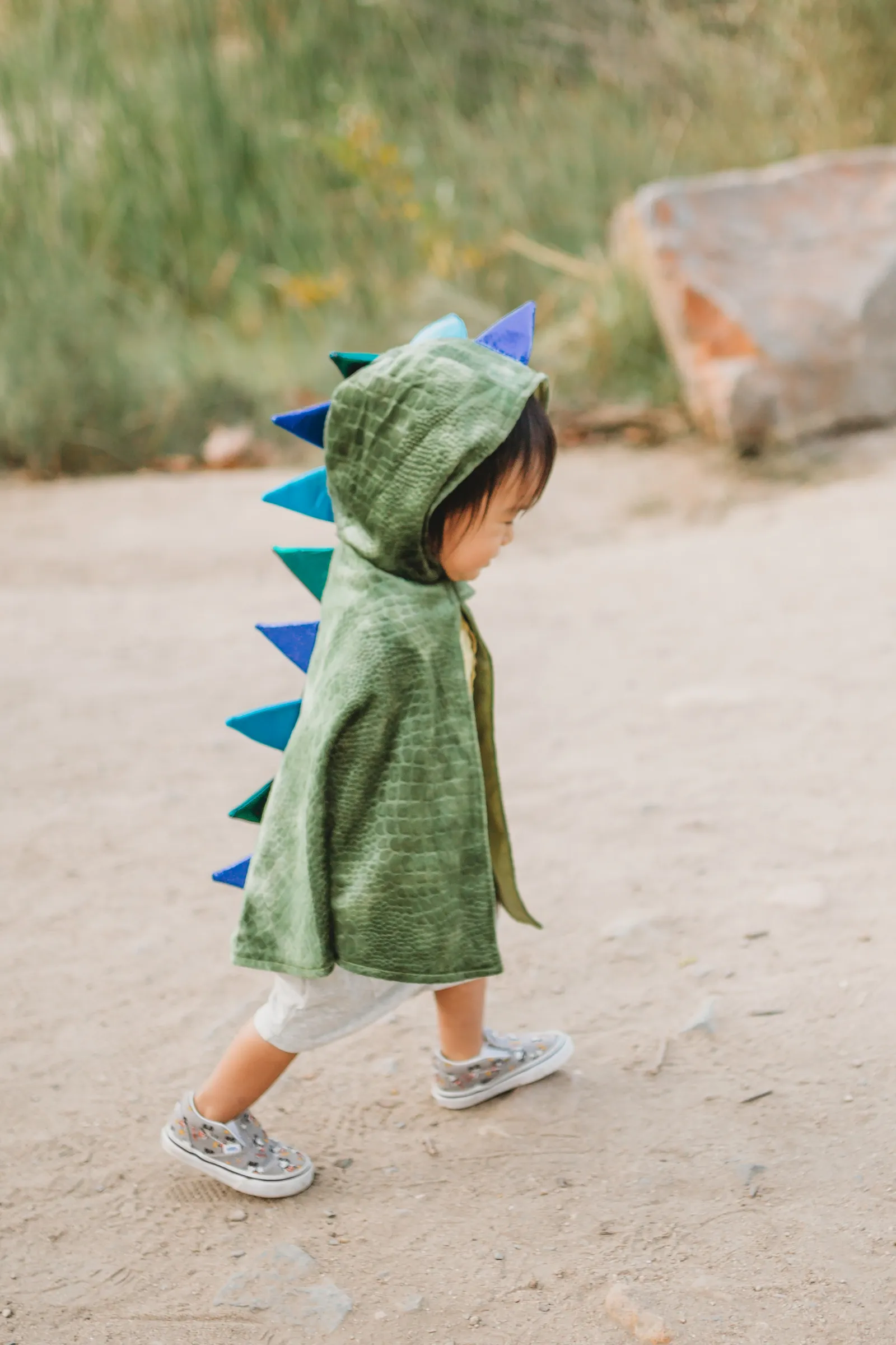 Baby Dragon Cape