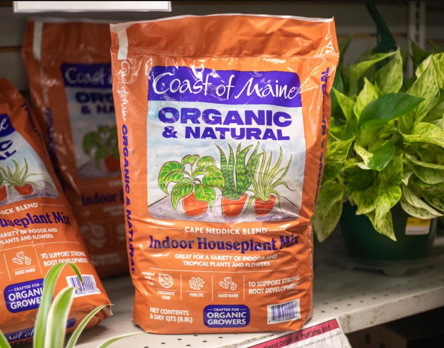 Coast Of Maine Organic Indoor Houseplant Soil Mix