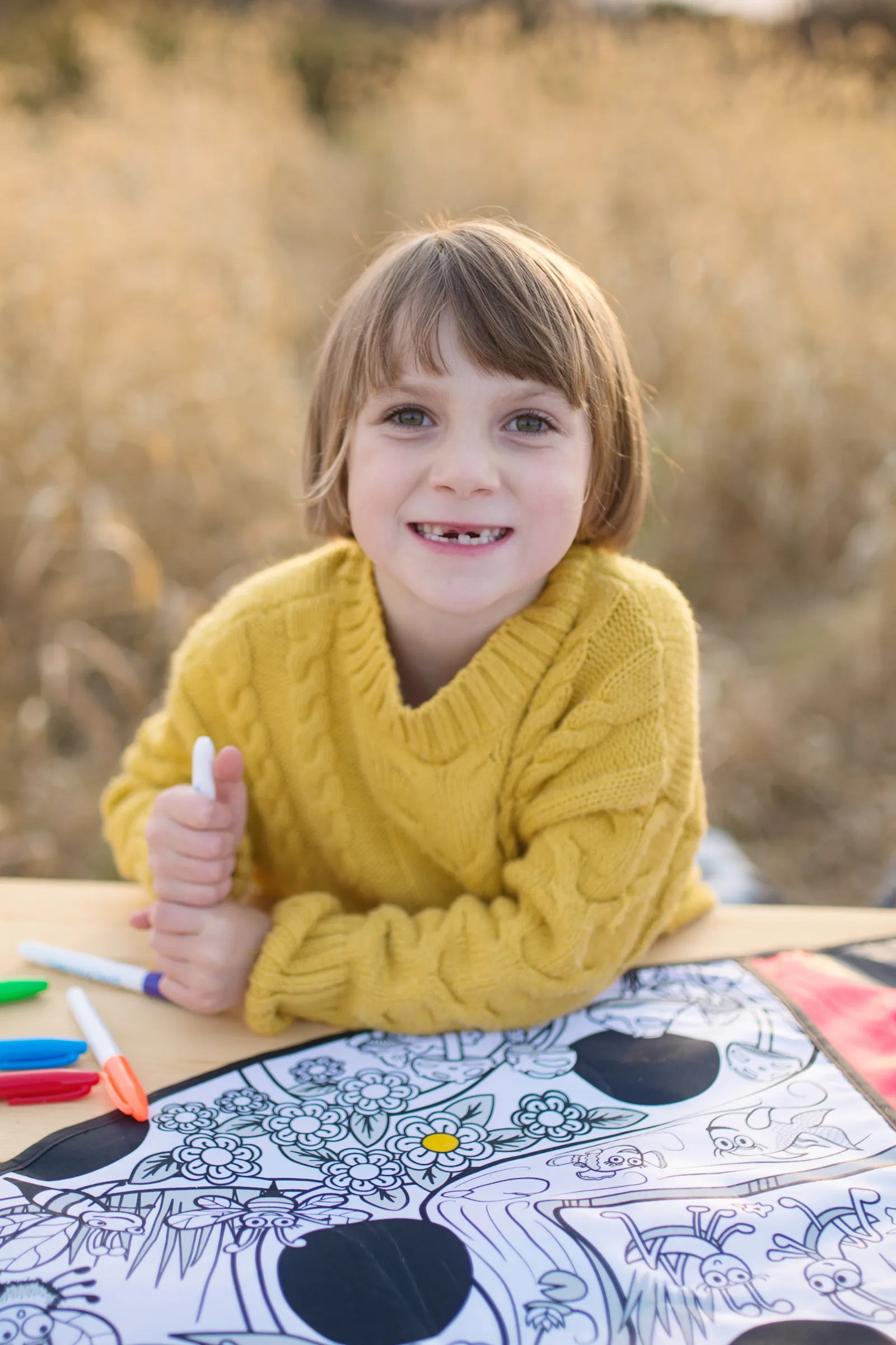 Colour-A-Ladybug Cape