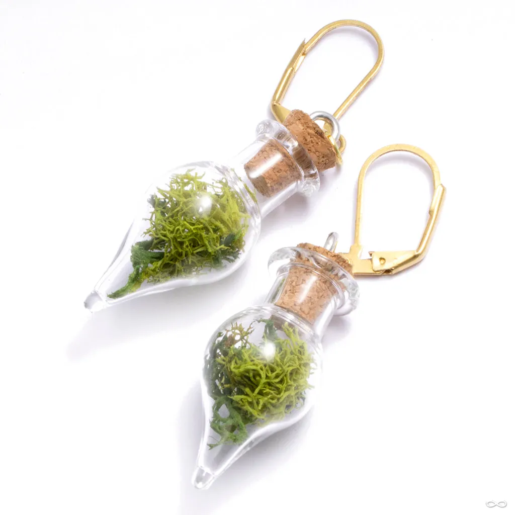 Dayak Terrarium Earrings from Uzu Organics