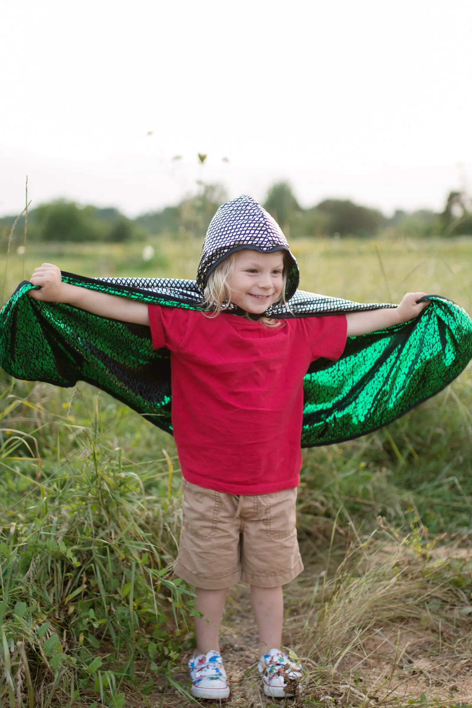 Dragon Knight Reversible Cape by Great Pretenders