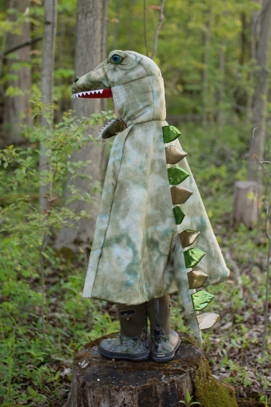 Grandasaurus T-Rex Cape Size 7-8