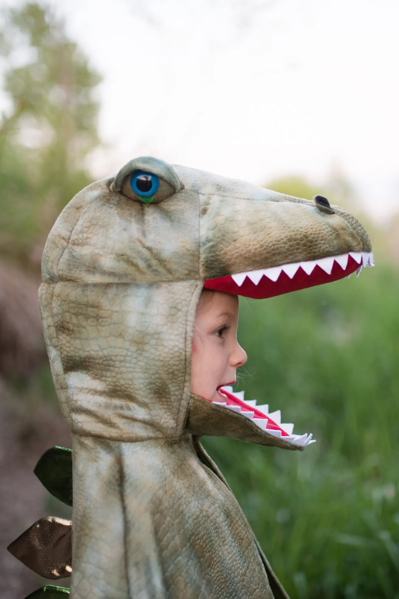 Grandasaurus T-Rex Cape with Claws by Great Pretenders