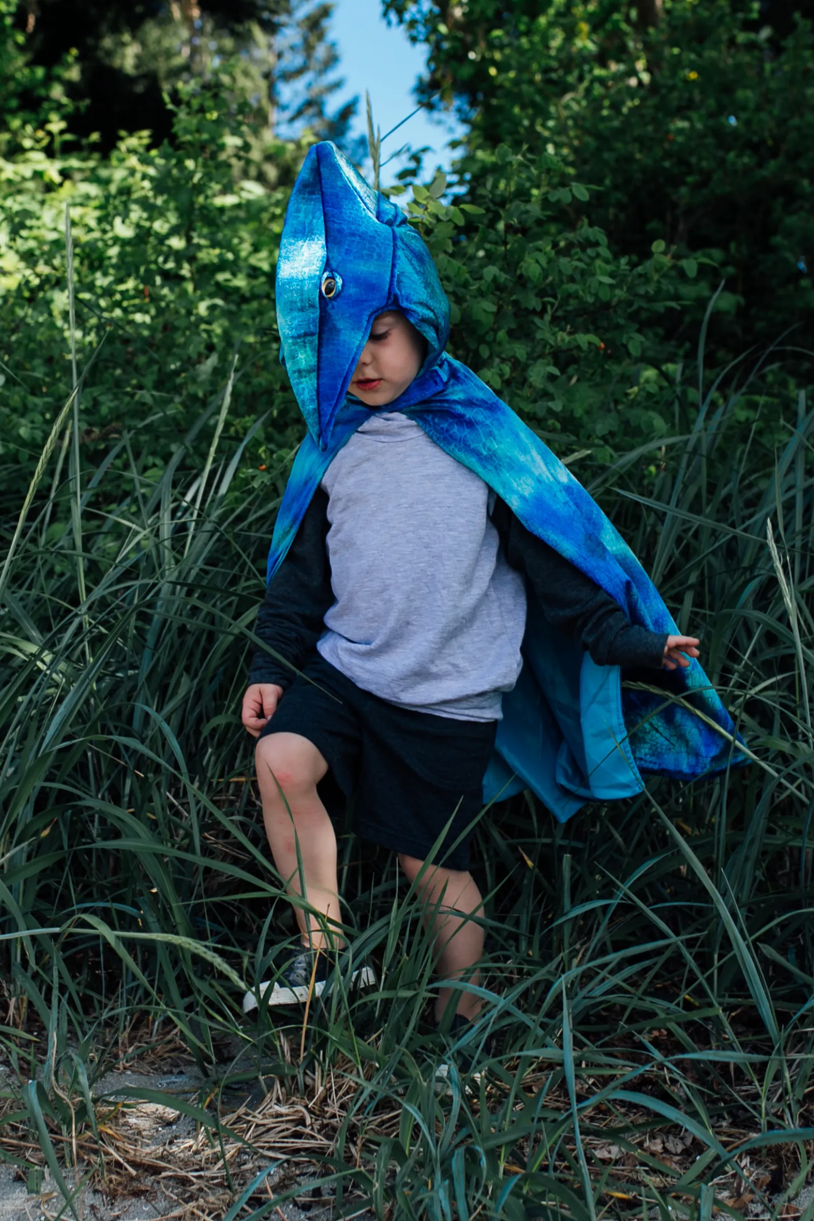 Pterodactyl Hooded Dinosaur Cape