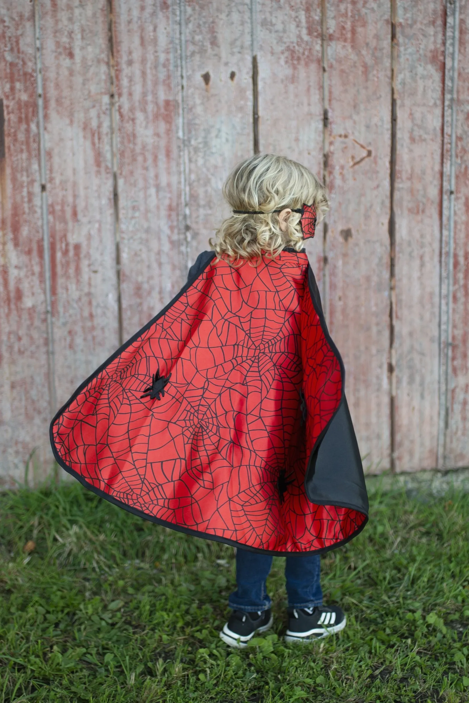 Reversible Spider Bat Cape and Mask