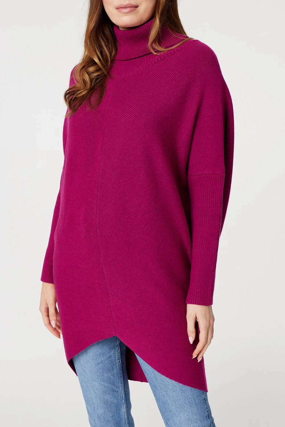 Roll Neck Longline Knit Pullover