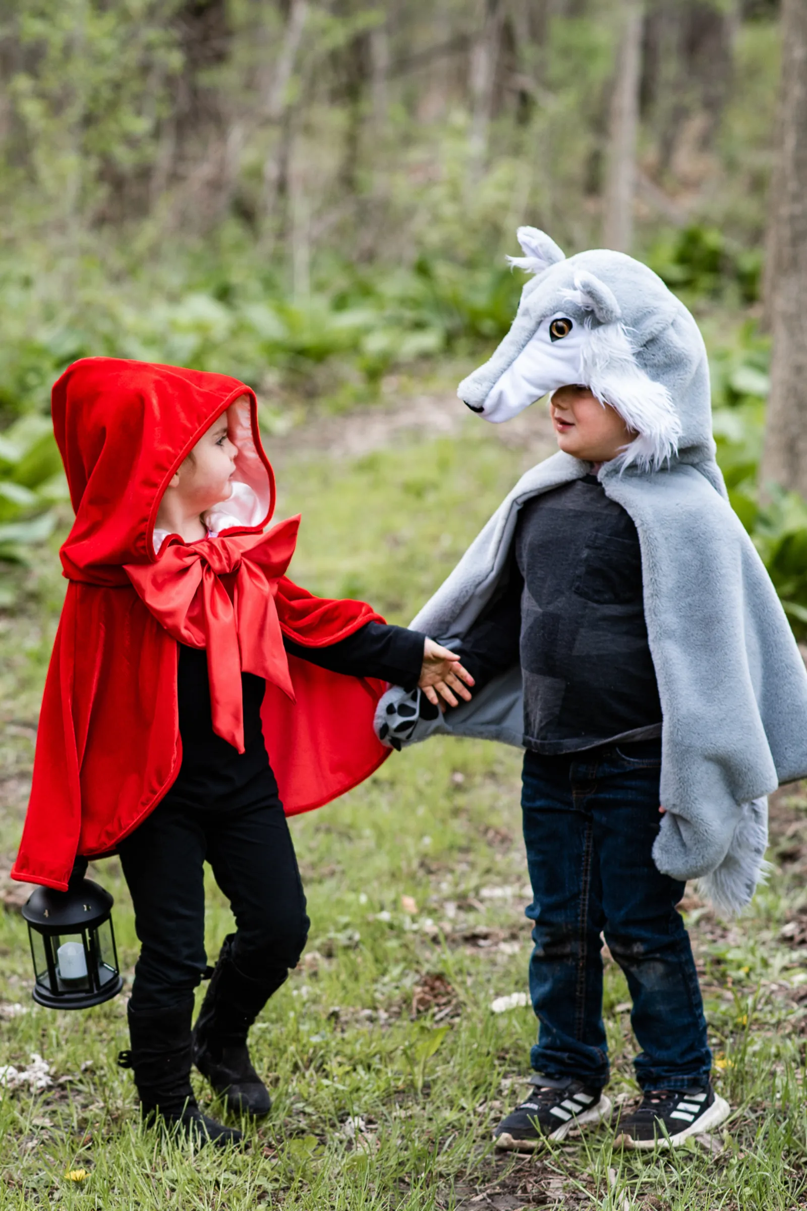 Woodland Storybook Little Red Riding Hood Cape