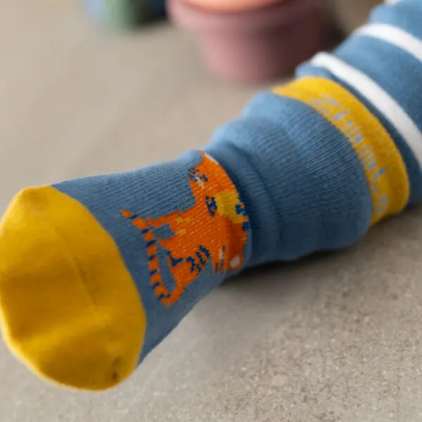 Ziggle - Savanna Tiger Leggings and Socks Set 6-12months